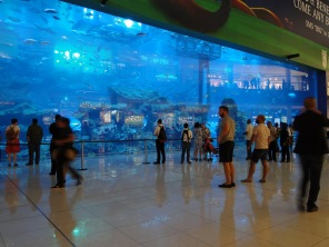 Dubai, Mall, aquarium, picture, akvariumas, Dubajus, prekybos centras