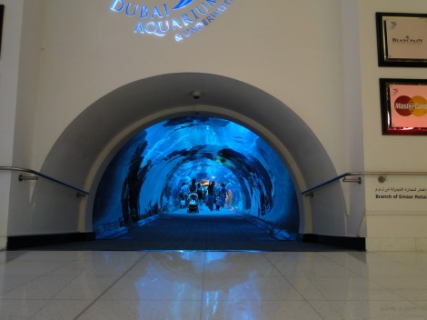 Dubai, Mall, aquarium, picture, akvariumas, Dubajus, prekybos centras, underwater, tunnel, tunelis