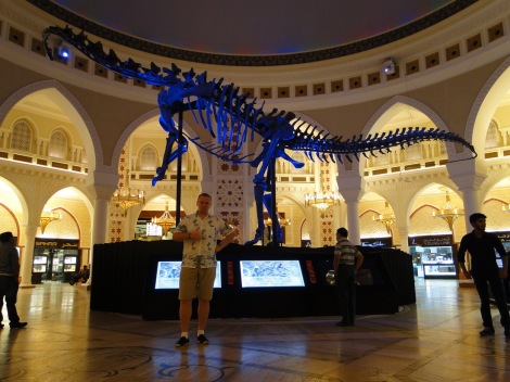 Dubai, Mall, aquarium, picture, akvariumas, Dubajus, prekybos centras, dinozauras, skeletas, Dubai Dino, dinosaur