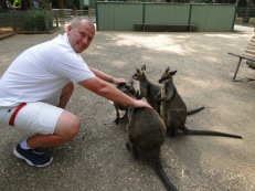 Sidnėjus, Sydney, Australija, Australia, turas, tour, Blue Mountains, Mėlynieji kalnai, Žydrieji kalnai, Colourful Trips, Featherdale Wildlife Park, parkas, laukinės, gyvūnijos, kangaroo, kengūra, maitinimas, feeding