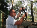Sidnėjus, Sydney, Australija, Australia, turas, tour, Blue Mountains, Mėlynieji kalnai, Žydrieji kalnai, Colourful Trips, Featherdale Wildlife Park, parkas, laukinės, gyvūnijos, snake, gyvatė